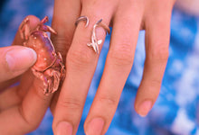 Load image into Gallery viewer, Grey Nurse Shark Ring