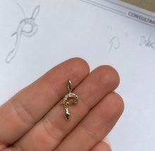 Load image into Gallery viewer, Serpent Initials