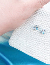 Load image into Gallery viewer, Aloha earrings