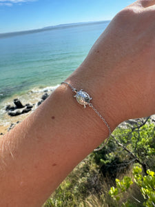 Mary River Turtle | Bracelet