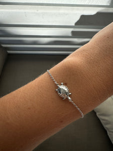 Mary River Turtle | Bracelet