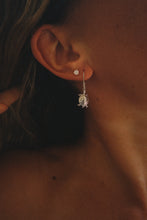 Load image into Gallery viewer, Mary River Turtle | Earrings